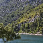 Polyxeni Magnolia 150m From The Sea Villa