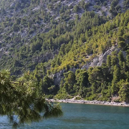 Polyxeni Magnolia 150m From The Sea Villa