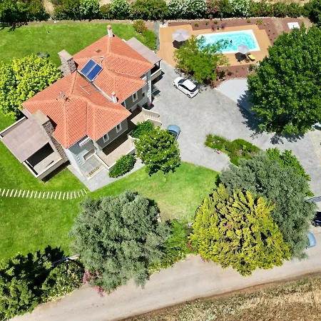 Polyxeni Magnolia 150m From The Sea Politika