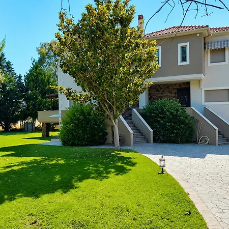 Polyxeni Magnolia 150m From The Sea Villa