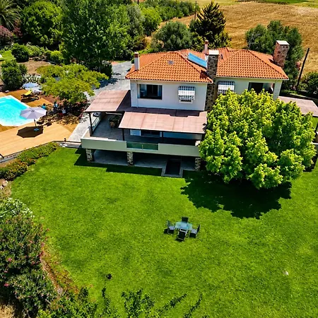 Villa Polyxeni Magnolia 150m From The Sea Politiká