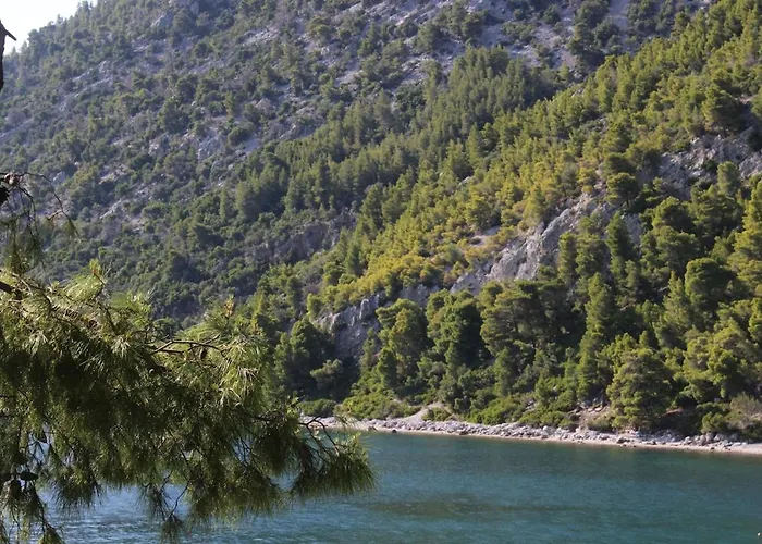 Polyxeni Magnolia 150m From The Sea Villa