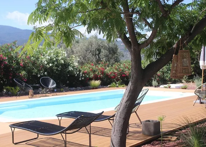 Polyxeni Magnolia 150m From The Sea Villa Politika