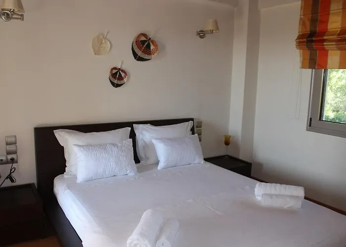 Villa Polyxeni Magnolia 150m From The Sea Politika