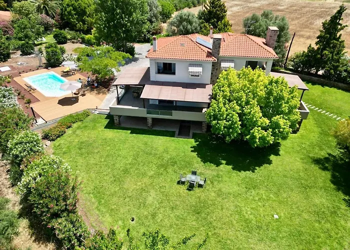 Polyxeni Magnolia 150m From The Sea Politika