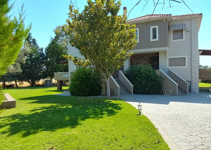 Villa Polyxeni Magnolia 150m From The Sea Politika