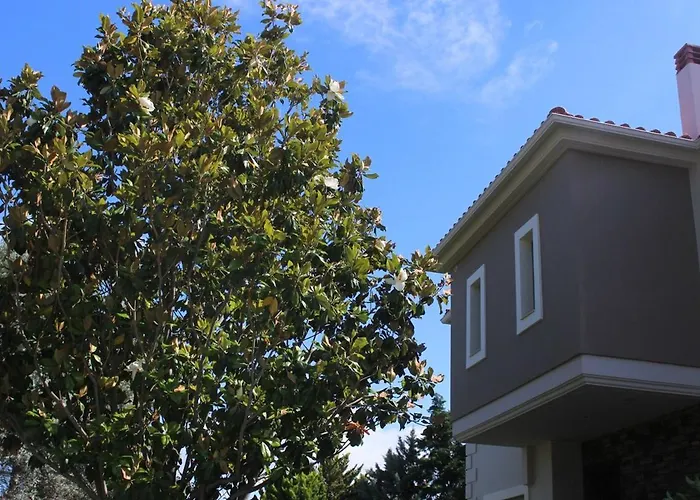 Polyxeni Magnolia 150m From The Sea