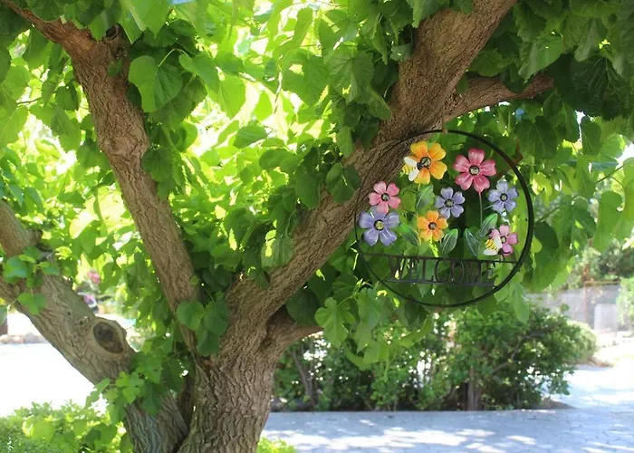 Polyxeni Magnolia 150m From The Sea Politika