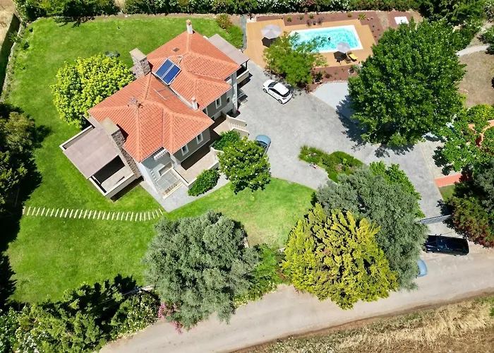 Polyxeni Magnolia 150m From The Sea Politika